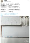 富坚义博推特更新漫画进度：还要再画10话内容