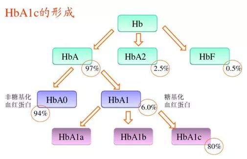 糖化血红蛋白为0，这个结果竟然是对的!