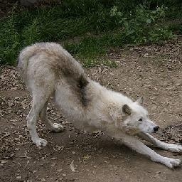 1063和1066吃鸡有什么区别?新版可以全极致