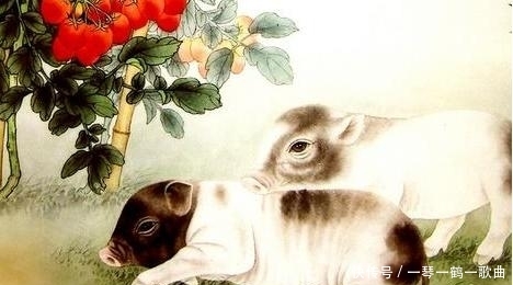 71年属猪人:后半生运势?准的离谱!