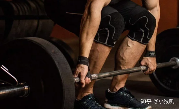 健身护具推荐 知乎(LP护膝护腕性价比排行)