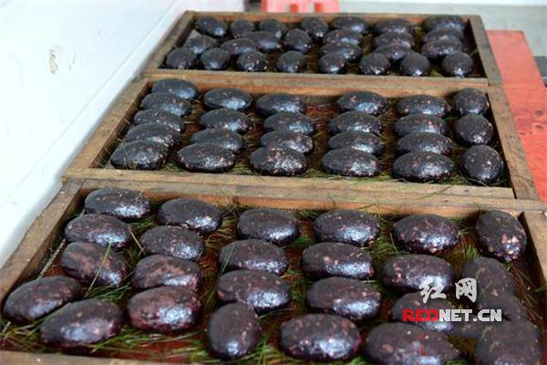 新春走基层|隆回三姐妹回乡创业 只为传承\"妈妈的味道\"