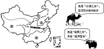 二人转新王二姐思夫,北京卫视喜剧,滑板车品牌,肾透析一次多少钱