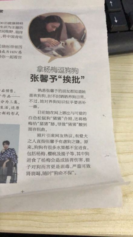 张馨予拿杨梅逗狗被痛骂,吓得她赶紧晒出这张照片