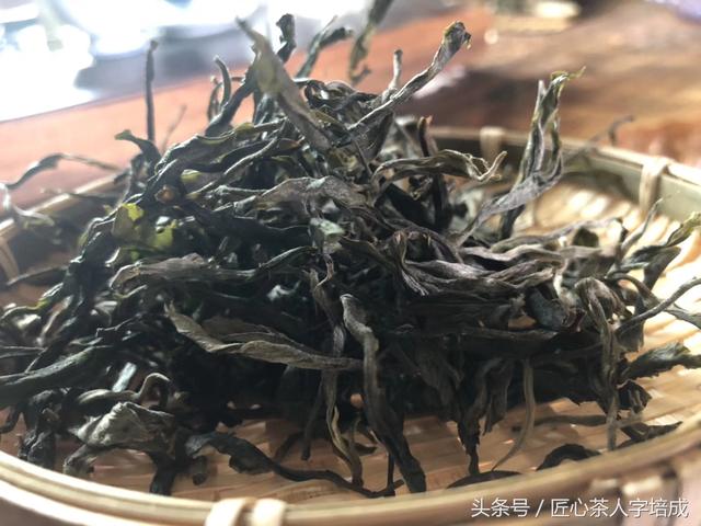 收藏贴：24款名山头古树开汤评测