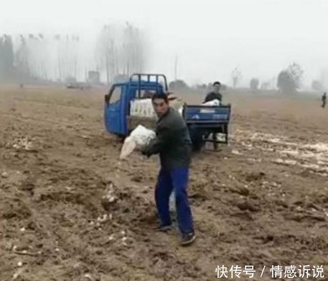男子把“饺子”撒在地里,遭到村民指责,时隔一个月,村民愣住了