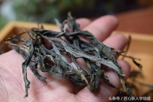 收藏貼:24款名山頭古樹開湯評測