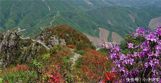 五一四天假期,广东连山金子山盛放满山杜鹃花