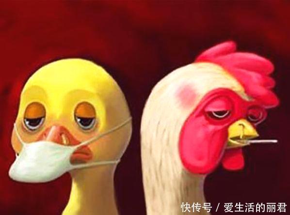 2018年永康禽流感外环境监测情况出炉快来看