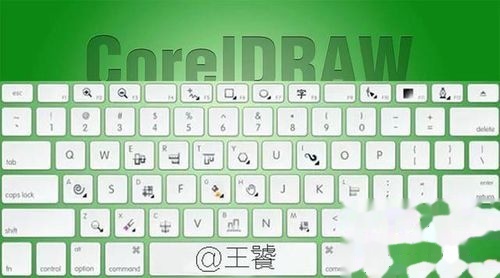 ai cdr区别,aicdr区别