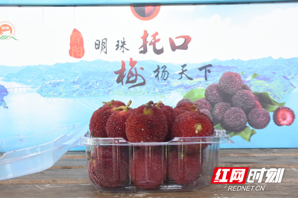 以梅为媒 怀化\"黔阳牌\"农产品倍受客商青睐