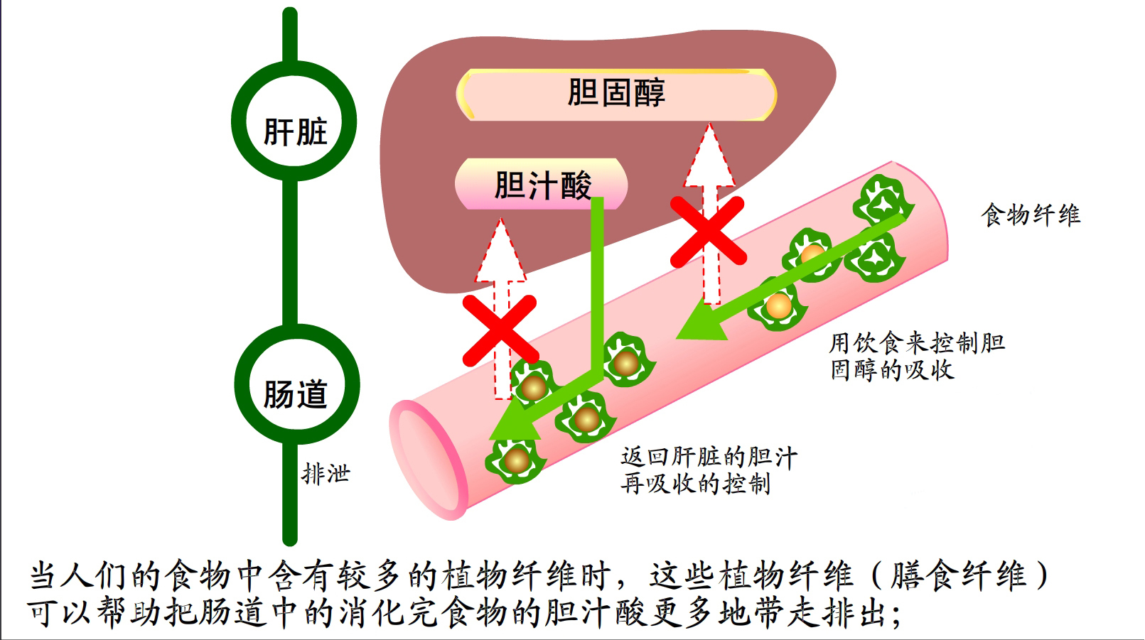 肝功能gdp_复查过肝功能的进来看一下 国内航空 kongjie.com