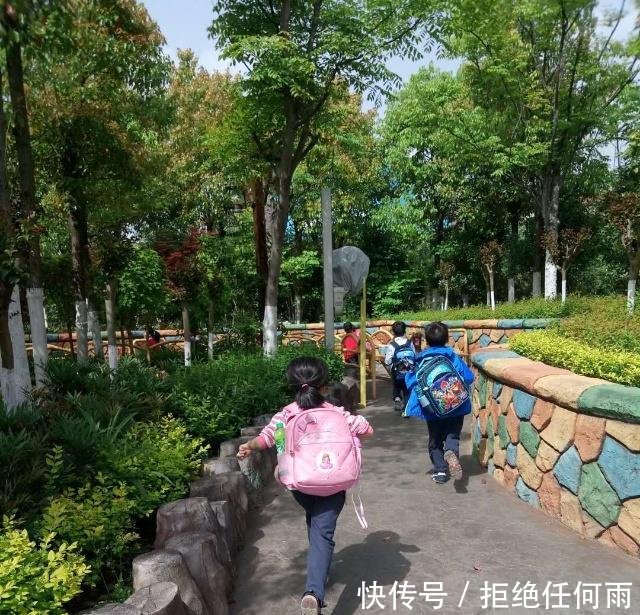 小学教育改革的榜样:为赤壁市正扬小学的大胆