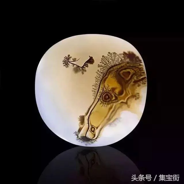 赏石会变成辩论会:抛光打磨石到底算不算奇石