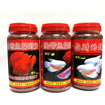 魚缸是什么類目， 魚缸是什么類目的商品