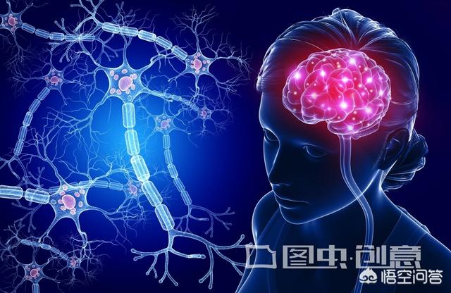 聊聊中医中的髓!脑髓、骨髓、脊髓