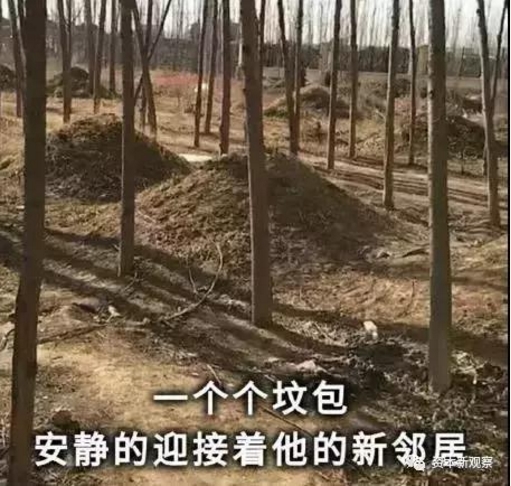 荣盛业主拒收\"坟景房\" 总部维权遭保安殴打