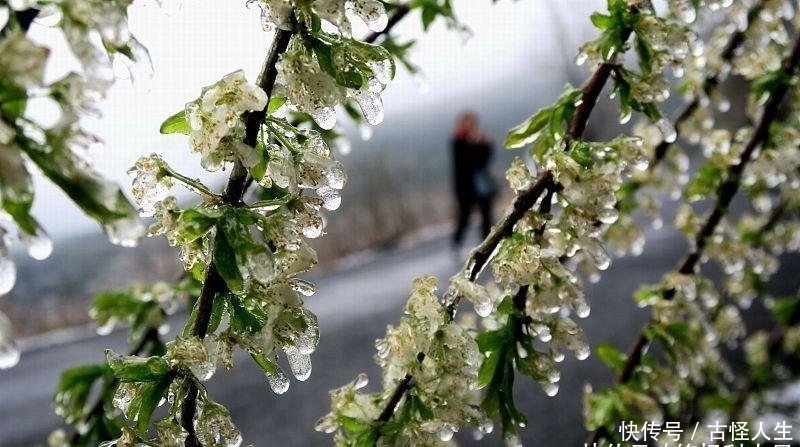 高处的桂林 广西桂林旅游散文随笔