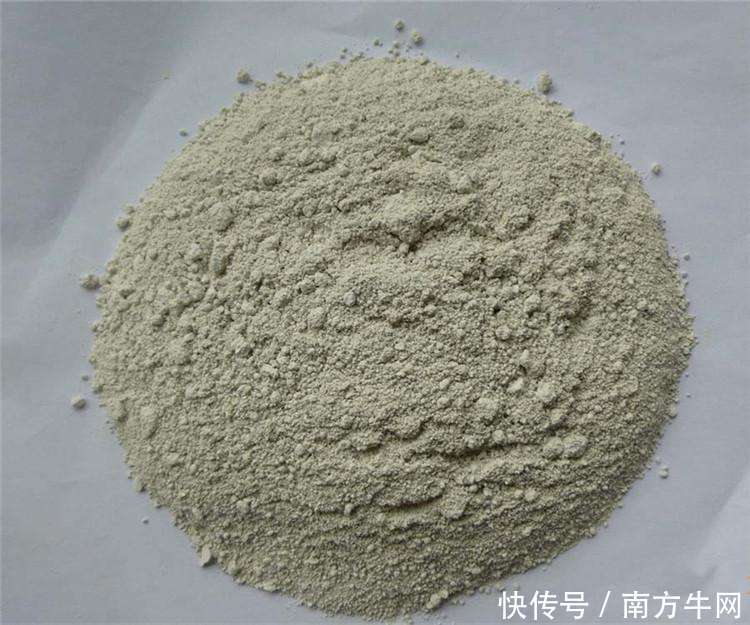 t0188b8841d20436493.jpg