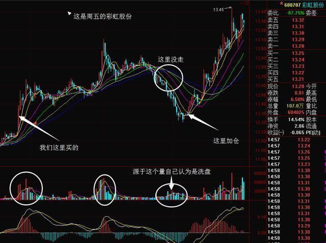 中国股市丑陋的面目终于露出来了，无数散户注定只能亏钱?