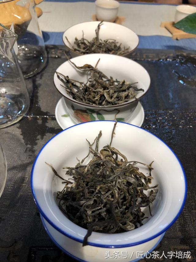 收藏貼:24款名山頭古樹開湯評測