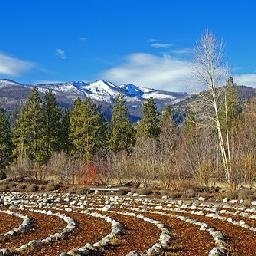 2017 世界乒联泰国公开赛 Hoi Kem vs Kim 乒乓球比赛