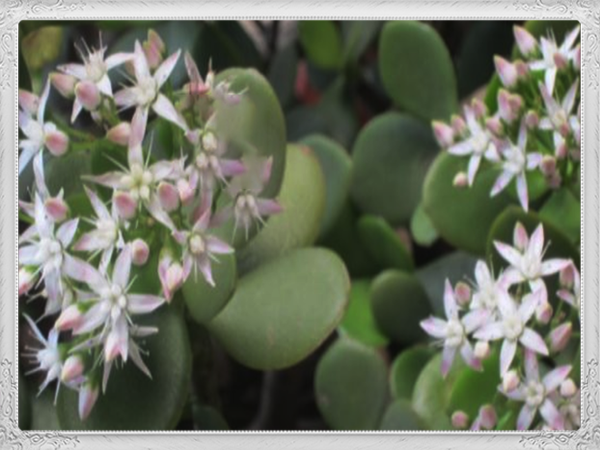 t018ab2ef340569612b.png?size=600x450