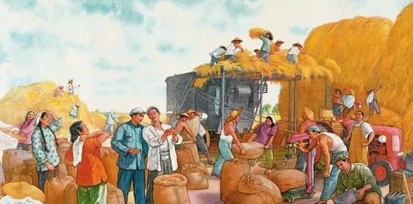 什么是农村合作社