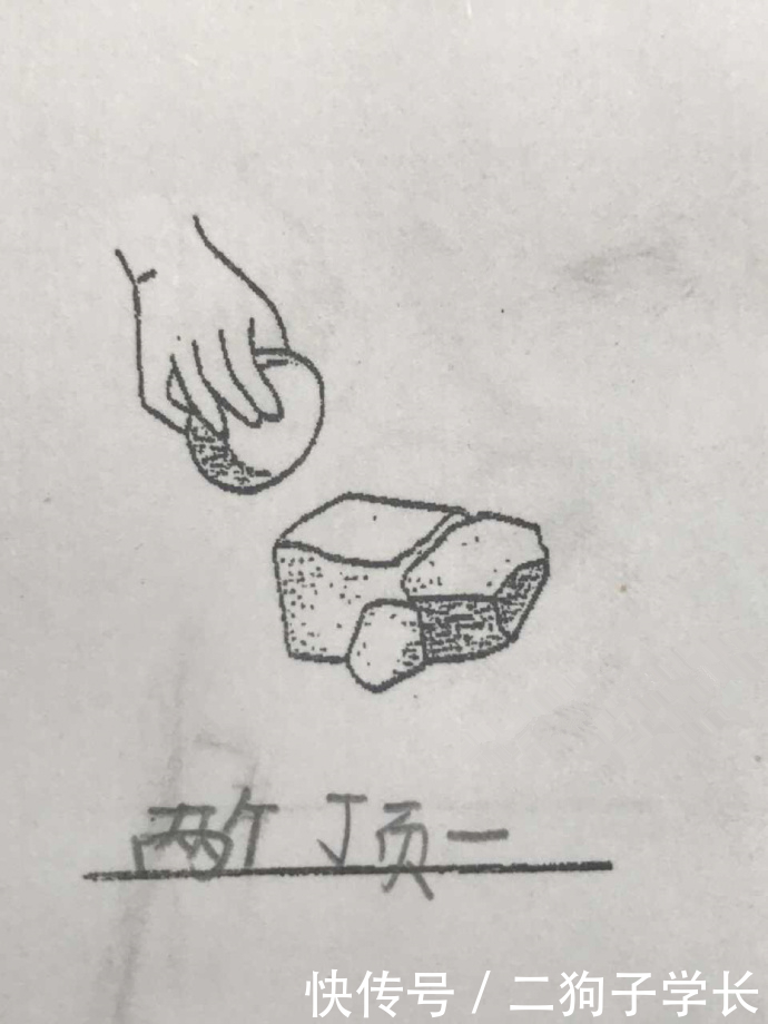 昙笑什么成语_昙花的昙的意思是什么