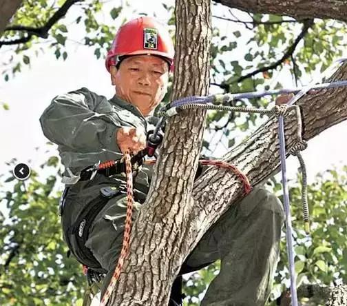 盘点香港低学历高薪工作,月薪全都过万