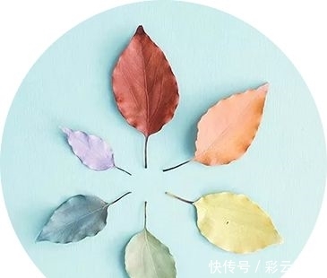 光所照耀 皆大欢喜 皇家娱乐在线