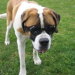 No More这首歌是由Elvis Presley(埃尔维斯·