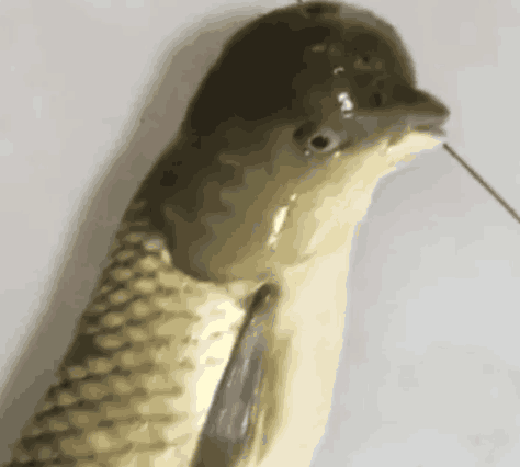 t018db50f4011b84f8f.png