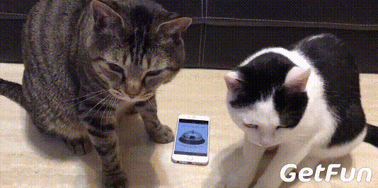 534_266gif 动态图 动图
