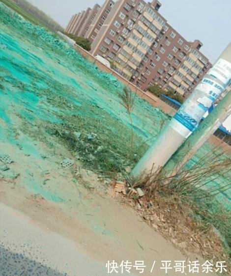 河南兰考环保扬尘处理出新招,公路两旁喷绿漆