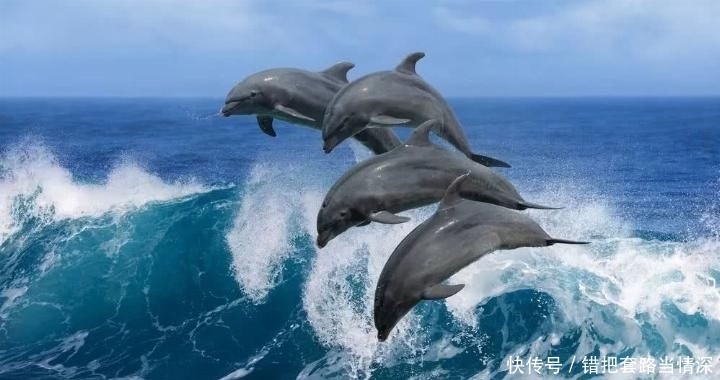 柬埔寨是落地签吗