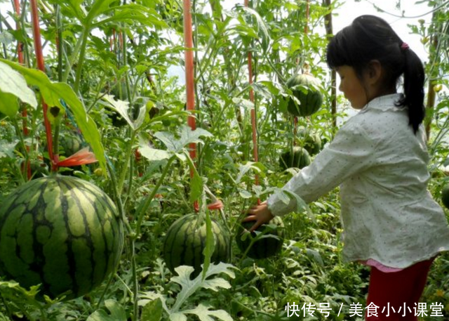 瓜农为防止西瓜被偷吃，脑洞大开，竟想出这神器的一招，高手在民