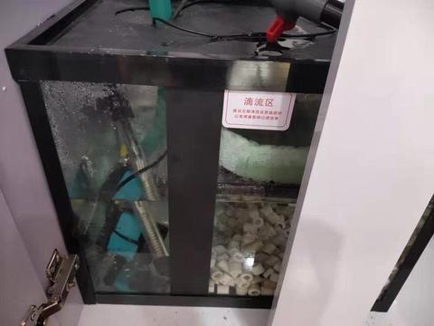 長春魚缸售后維護電話號碼查詢是多少（長春魚缸售后維護電話號碼查詢是多少號）