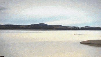 爆笑gif图:哥们的摩托车改装的不错,看起来很霸气!