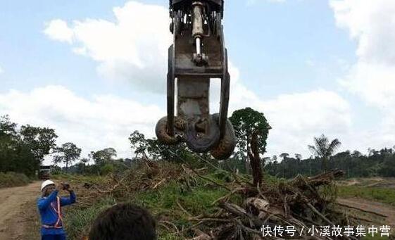 这些中国发生过得真实事件,大蛇要化龙的时候