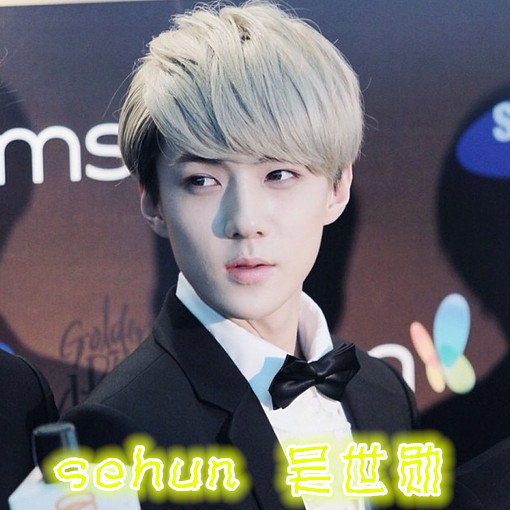 exo每一个人的名字和照片_365问答