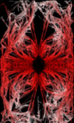 Fluidity Future Reader