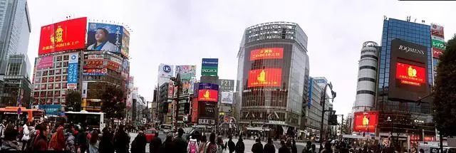 抚宁区城关花缘鲜花店（抚宁区城关花缘鲜花店地址）