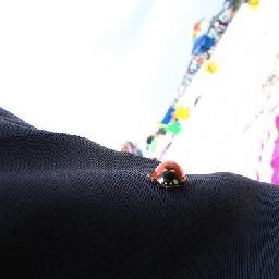 说好的亮片妆 & 人鱼姬 眼妆来啦 分别是梦幻甜