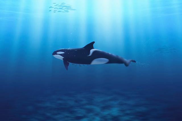 骨灰级旅游达人告诉你,名古屋自由行哪里5个必