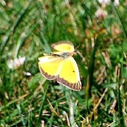 试问小爱同学小米MIX MIX2 MIX2S哪个手机