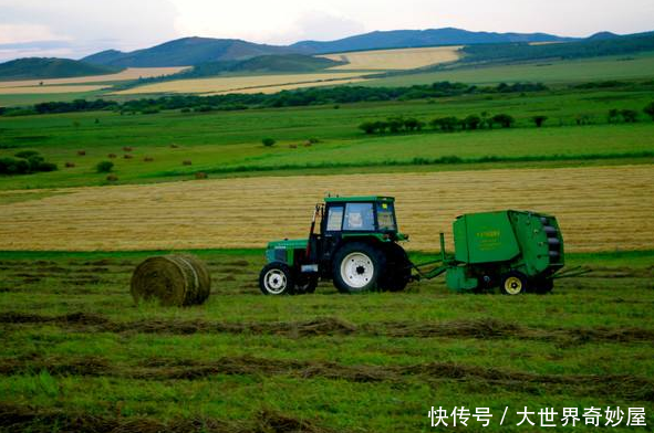 33岁中国男子娶22岁巴基斯坦姑娘, 结婚后仅8