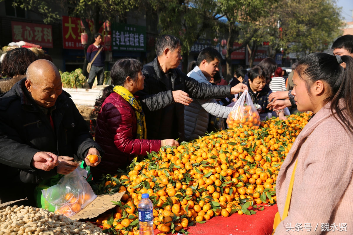 西安灞桥集市水果卖出白菜价 酥梨5毛1斤