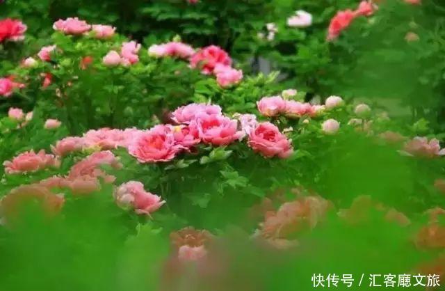 清明小长假,我想去这9个绝美的地方踏青!