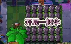 植物大战僵尸：开局只给一把伞？你是隔壁派来的？